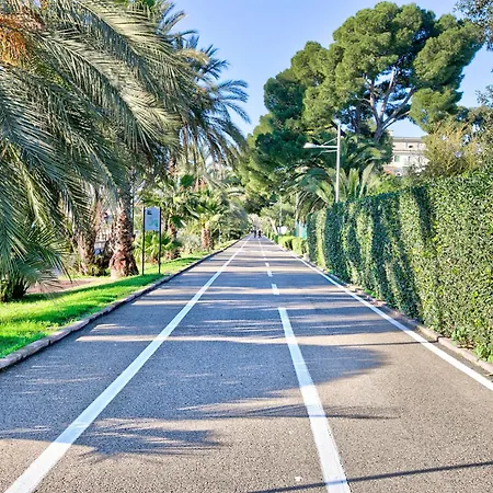 Jolie Sur La - Petit - Happy San Remo