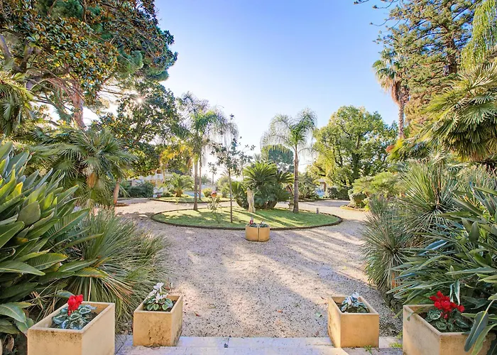 Jolie Sur La - Petit - Happy Sanremo